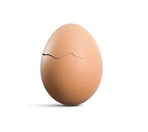 Kevin the egg